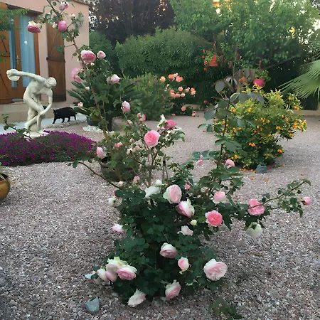 Desiree - D'hote Agde