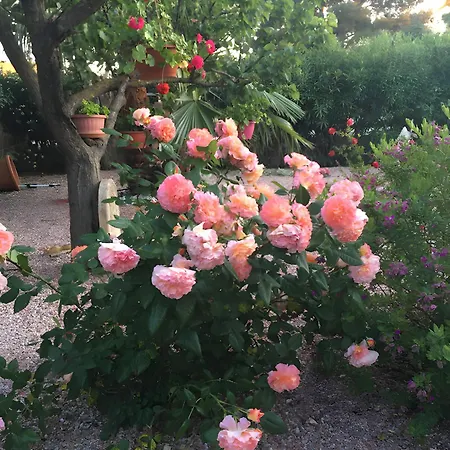 Desiree - D'hote 3* Agde