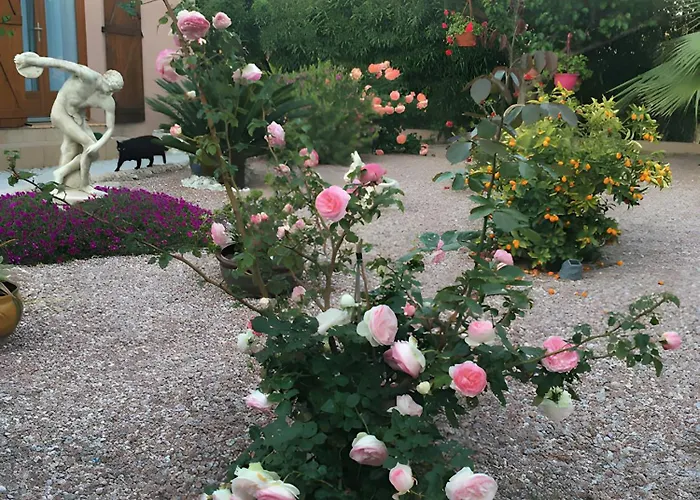 Desiree - D'hote Bed & Breakfast